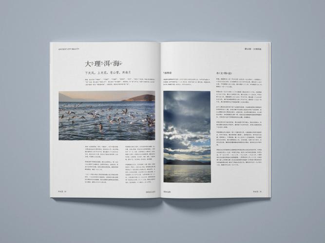 云南教育机构画册设计