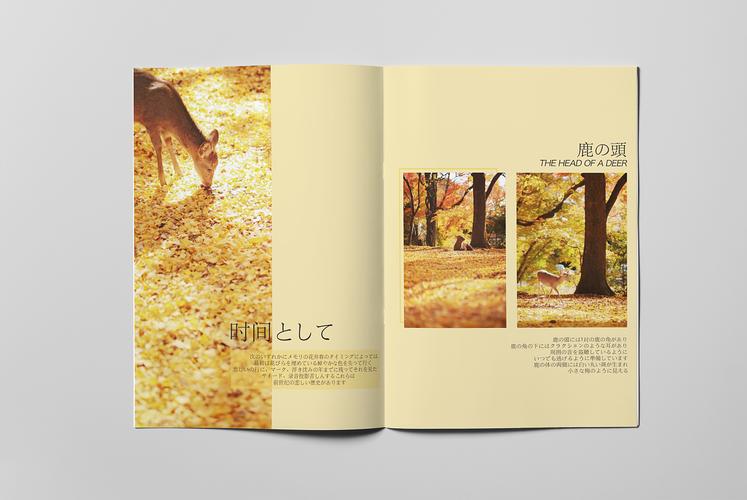 画册设计日式